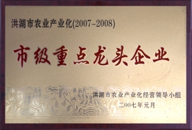 市級重點(diǎn)龍頭企業(yè)
